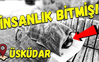  SOĞUKTA SOKAKTA YAŞAYAN EVSİZLERE YARDIM VE HEDİYE! ( SOSYAL DENEY )