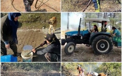 ELLERİ ÖPÜLESİ KADINLARIMIZ 